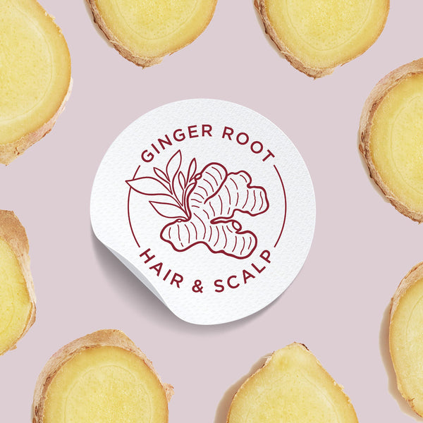 Rooted Rituals Conditioner with Ginger Root and Aloe, Silicone-Free, Safe for Color-Treated Hair, 8.4 oz