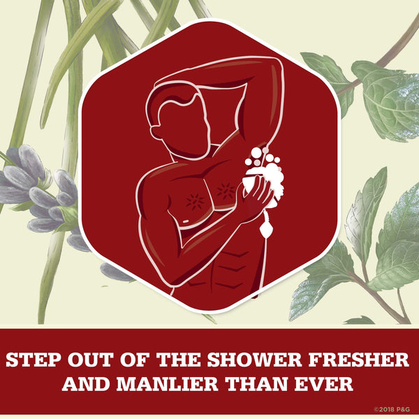 Old Spice Timber Body Wash, Sandalwood, 16 Oz, Packaging May Vary