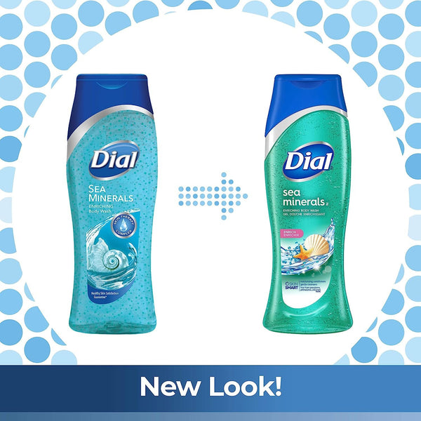 Dial Body Wash, Sea Minerals, 16 Ounce