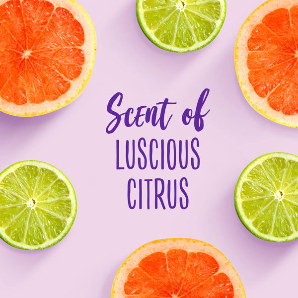 Aussie For Dry Hair Paraben Free Miracle Moist Shampoo W/Avocado & Jojoba, 12.1 Fluid Ounce