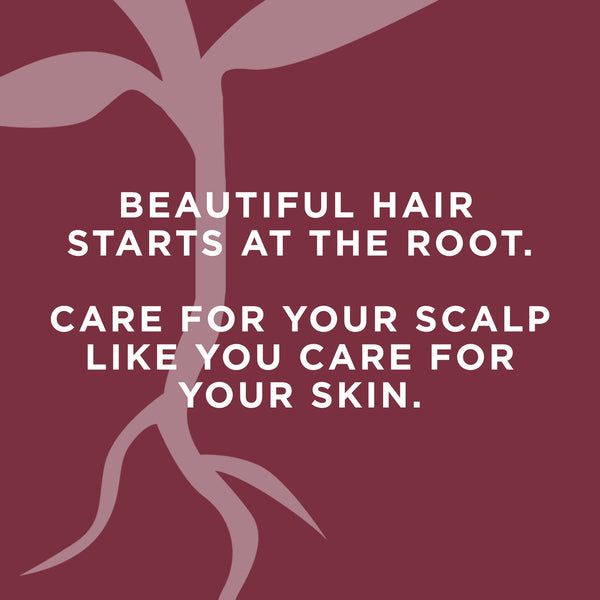 Rooted Rituals Conditioner with Ginger Root and Aloe, Silicone-Free, Safe for Color-Treated Hair, 8.4 oz