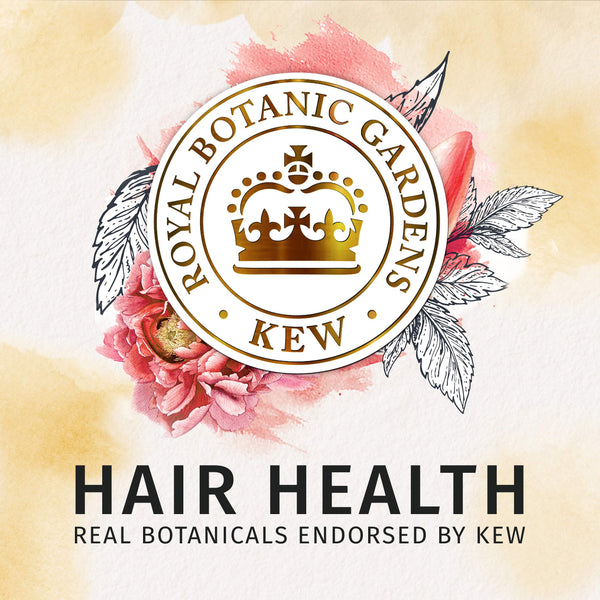 Herbal Essences Bio:Renew Honey & Vitamin B Sulfate-Free Moisture Shampoo, 12.2 Fluid Ounce