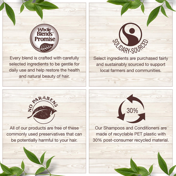 Garnier Whole Blends Nourishing Shampoo with Avocado Oil & Shea Butter Extracts, 12.5 fl. oz.