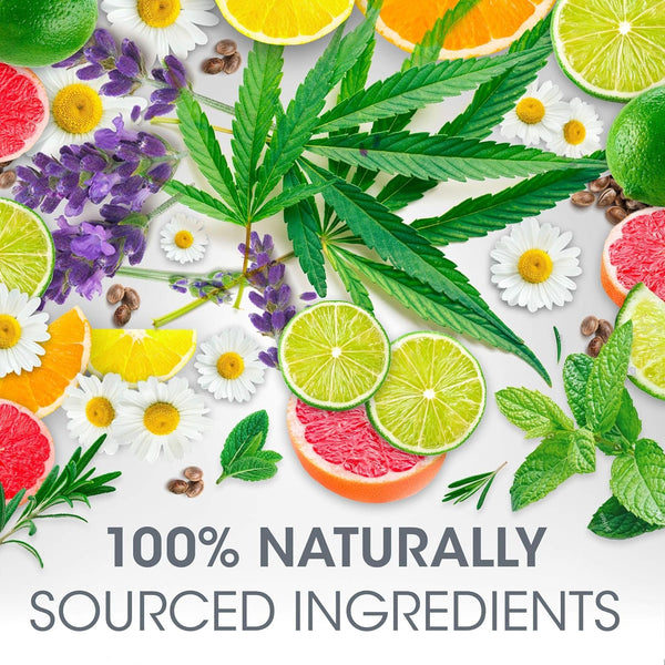 ChapStick Total Hydration Essential Oils Relax Chamomile + Lavender Lip Balm Tube, Lip Care - 0.12 Oz