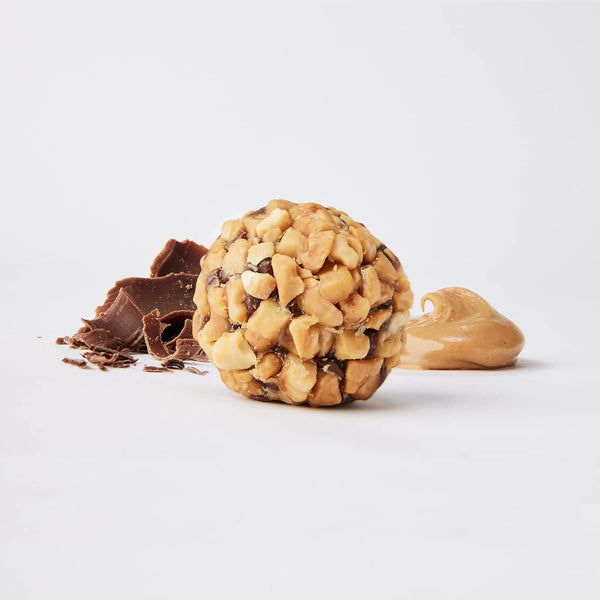 The Gluten Free Bar, Protein Bites, Dark Chocolate Peanut Butter, 4 Ounce, Vegan, Dairy Free, Non GMO, Soy Free