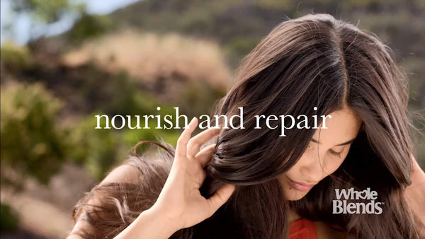 Garnier Whole Blends Repairing Shampoo Honey Treasures, 12.5 Fl Oz (Pack of 1)