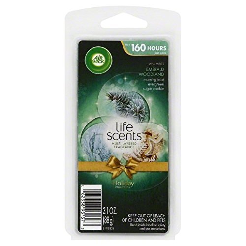 Air Wick Wax Melts 3.1Oz Emerald Woodld 4-Pack