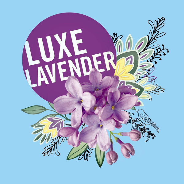 Secret Fresh Luxe, 2.6 oz