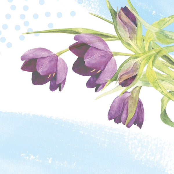 Secret Shower Fresh, 2.6 oz